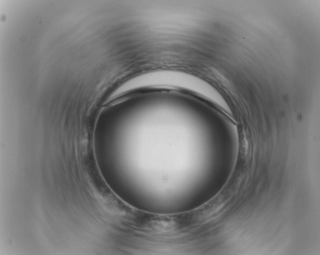 X0000089430552200707061346