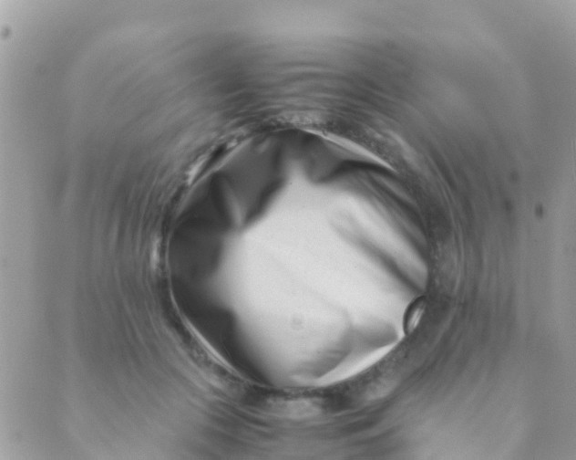 X0000089430553200707061346