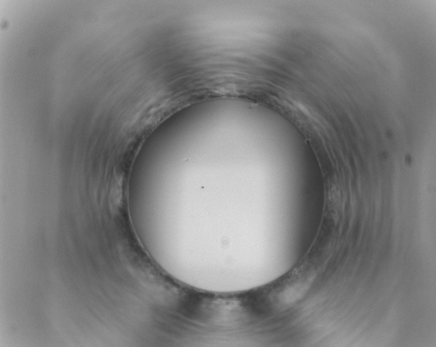 X0000089430554200707061346