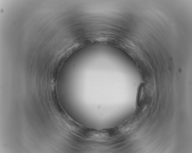 X0000089430555200707061346