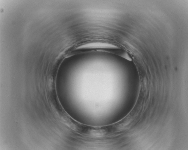 X0000089430556200707061346