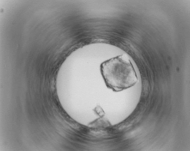 X0000089430557200707061346