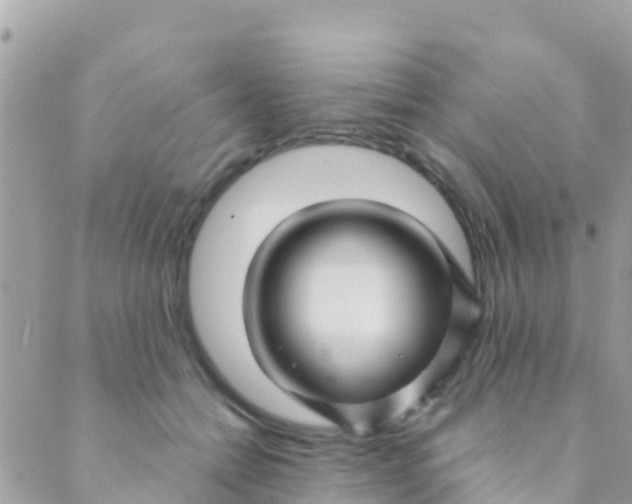 X0000089430558200707061346