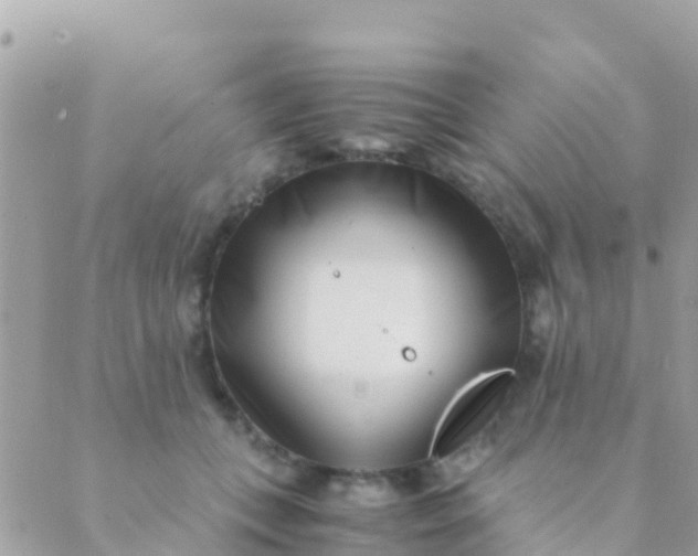 X0000089430559200707061346