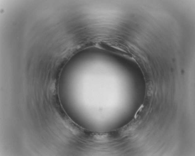 X0000089430560200707061346