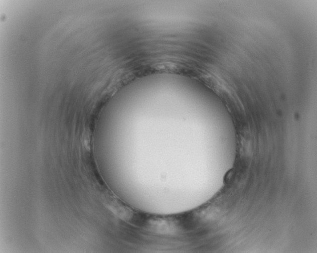 X0000089430561200707061346