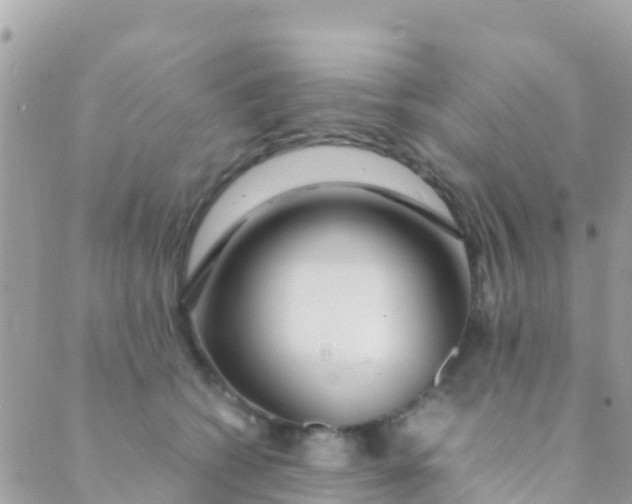 X0000089430562200707061346