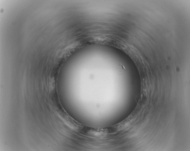 X0000089430563200707061346