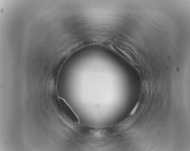 X0000089430564200707061346