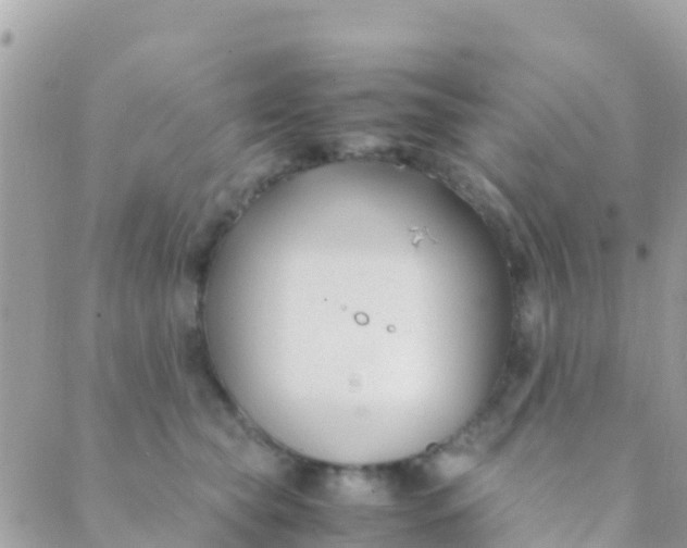 X0000089430565200707061346