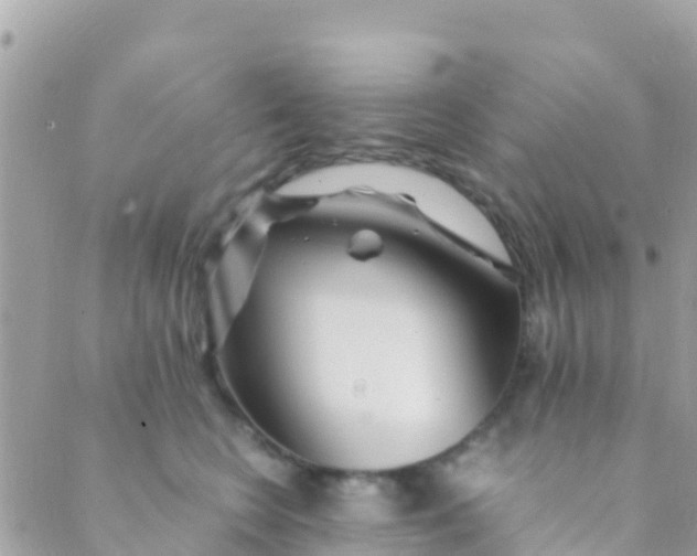 X0000089430566200707061346