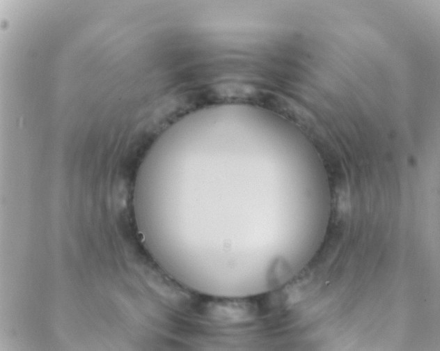 X0000089430567200707061346