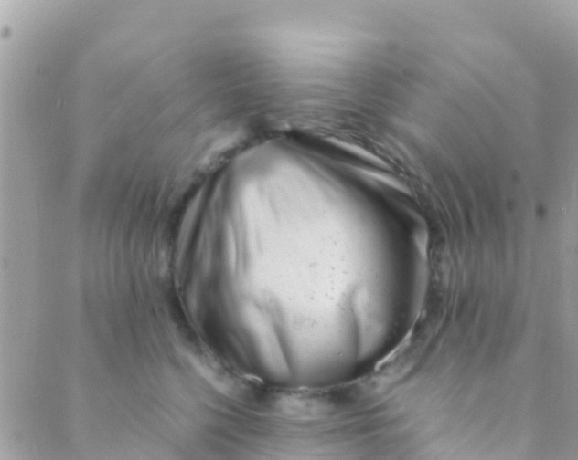 X0000089430568200707061346