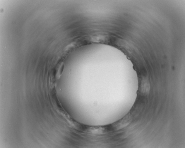 X0000089430569200707061346