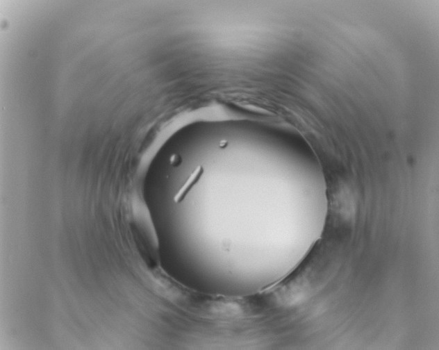 X0000089430572200707061346