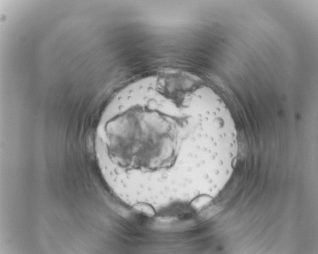 X0000089430573200707061346