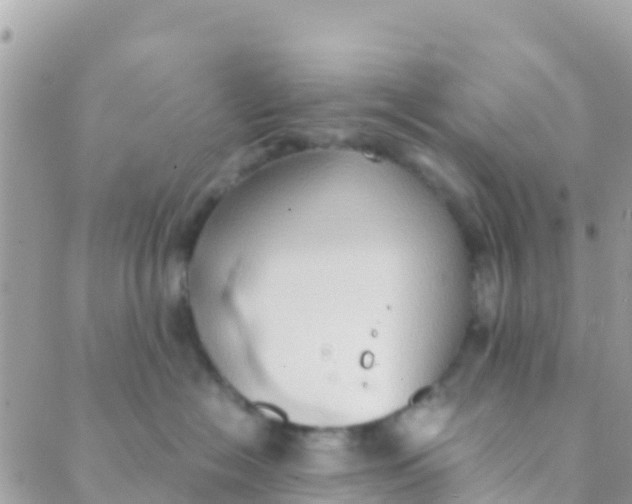 X0000089430574200707061346