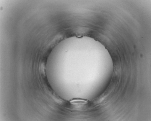 X0000089430575200707061346