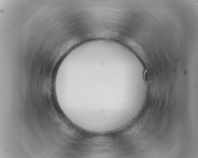 X0000089430578200707061346