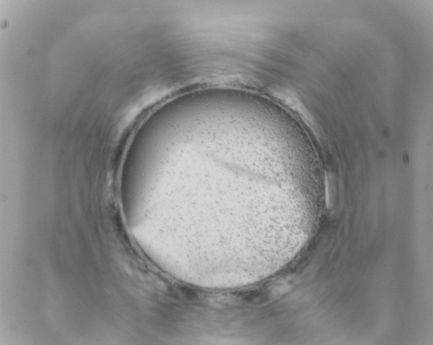 X0000089430579200707061346