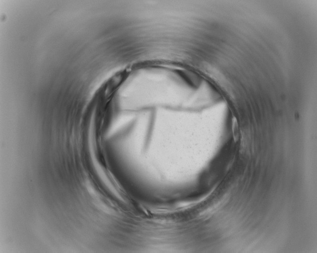 X0000089430580200707061346