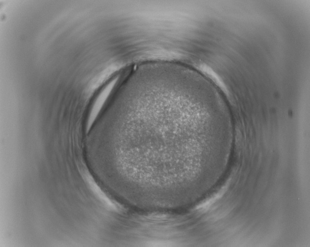 X0000089430581200707061346