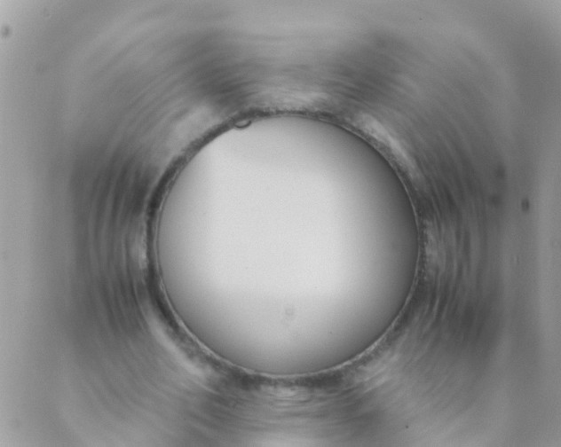 X0000089430582200707061346