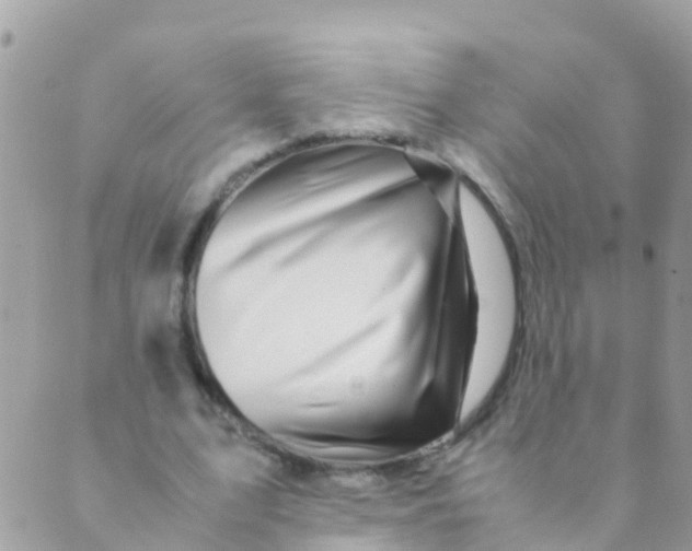 X0000089430583200707061346