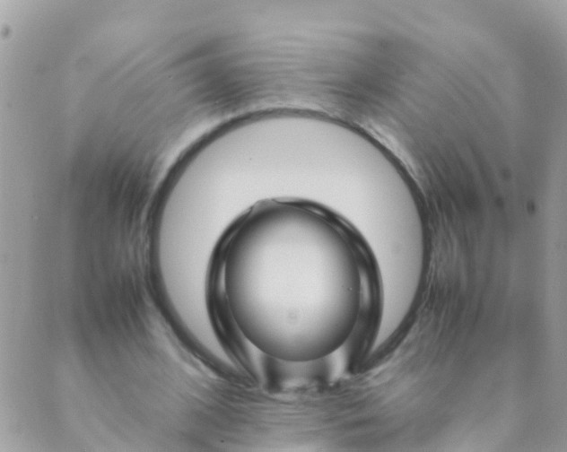 X0000089430584200707061346