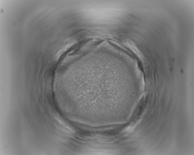 X0000089430585200707061346