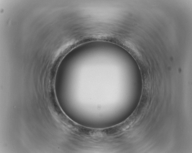 X0000089430587200707061346