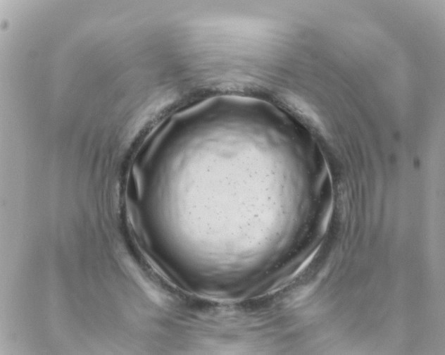 X0000089430589200707061346