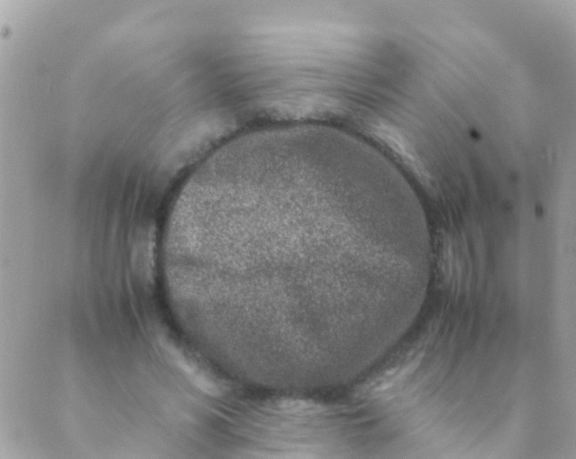 X0000089430590200707061345