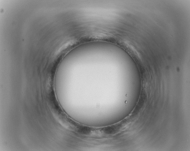 X0000089430591200707061345