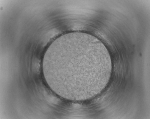 X0000089430592200707061345