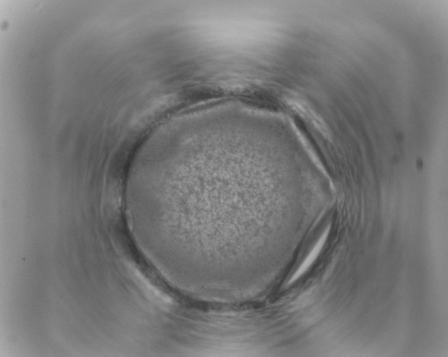 X0000089430593200707061345