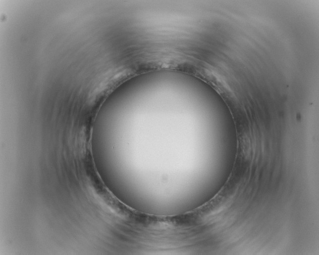 X0000089430594200707061345