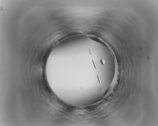 X0000089430595200707061345