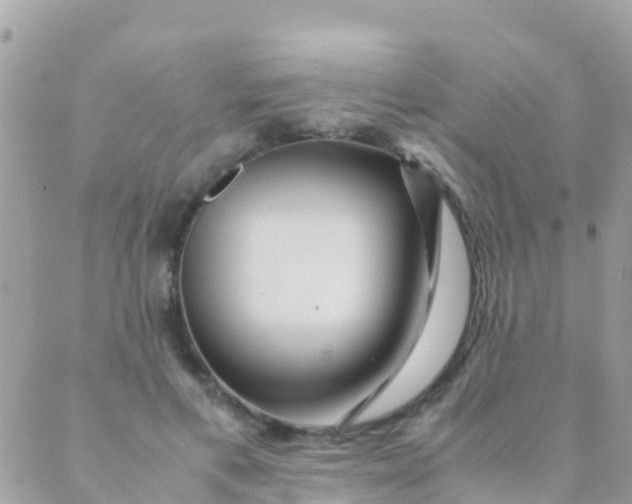 X0000089430597200707061345