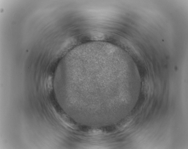 X0000089430598200707061345