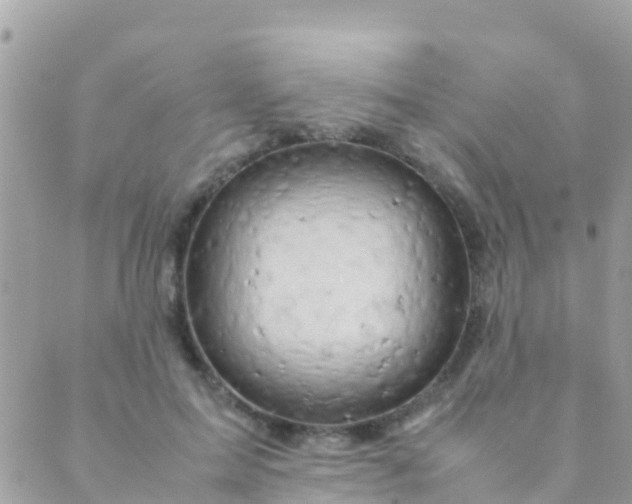 X0000089430599200707061345