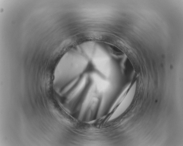 X0000089430600200707061345