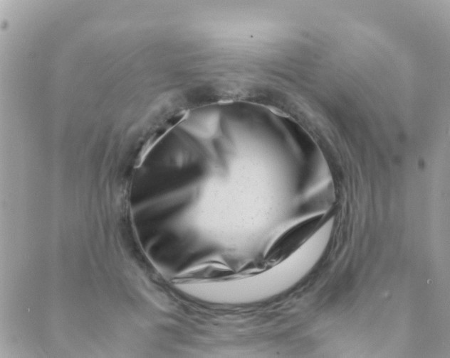 X0000089430601200707061345