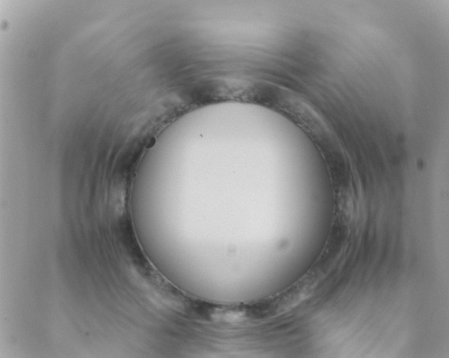 X0000089430602200707061345