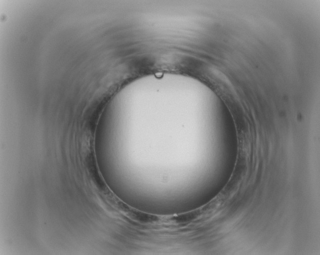 X0000089430603200707061345