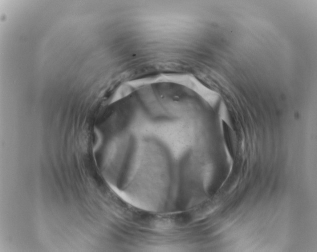 X0000089430604200707061345