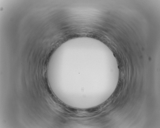 X0000089430605200707061345