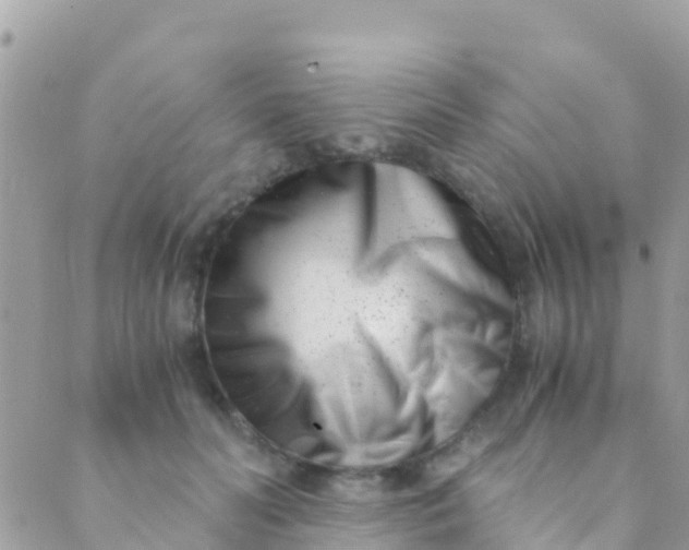 X0000089430606200707061345