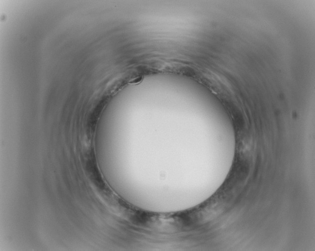 X0000089430607200707061345