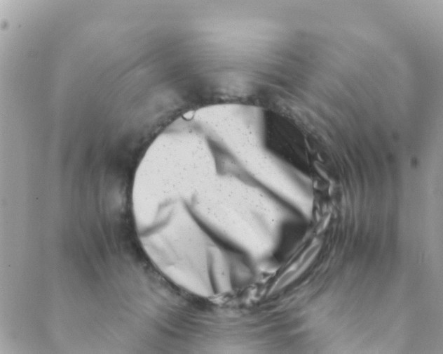 X0000089430608200707061345